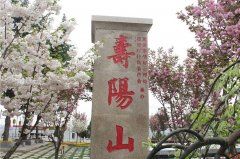 西安高桥墓园怎么样环境、风水好吗