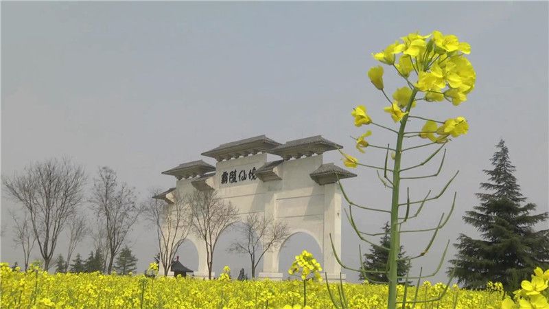 西安霸陵墓园新区图片环境鉴赏
