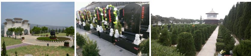西安霸陵墓园新区图片