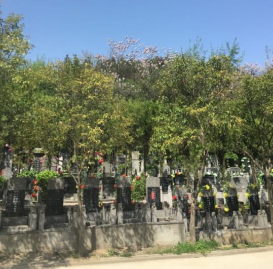 西安九龙山墓园