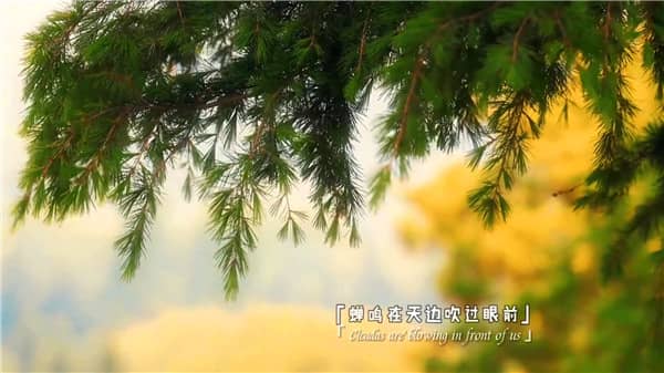 西安老霸陵墓园电话号码