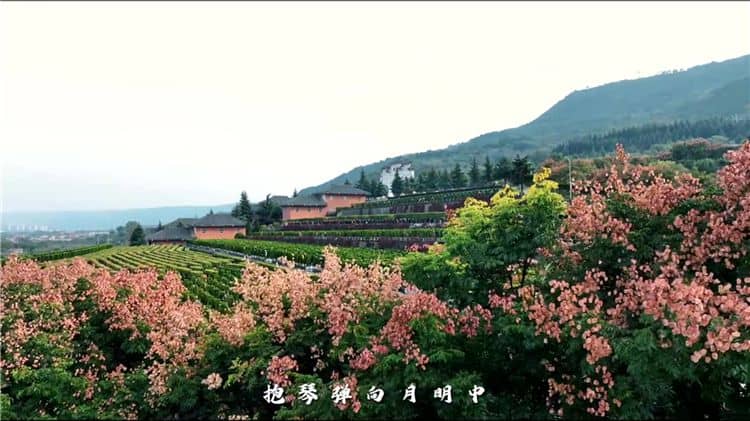 关于环保性,霸陵墓园如何做到减少对环境的影响?
