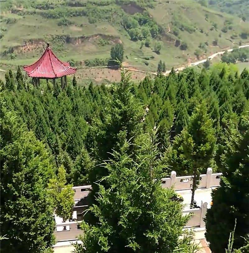西安高桥墓园图片、风水环境赏析