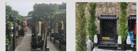 西安霸陵墓园新区