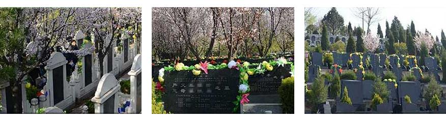 西安白鹿原公墓-蓝田县孟村乡李华村