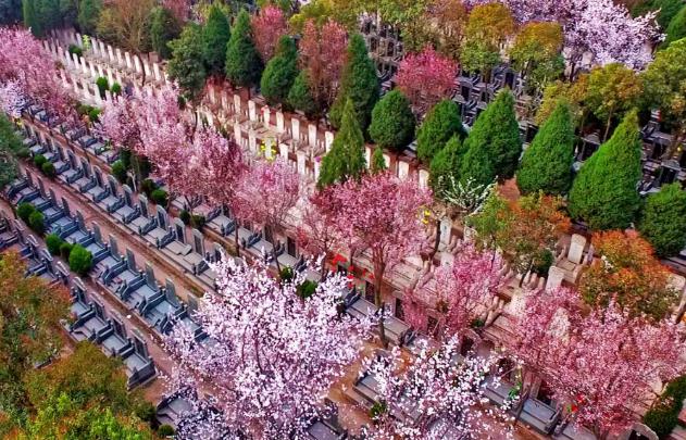 西安市风栖山墓地-西安风栖山墓地价格、电话