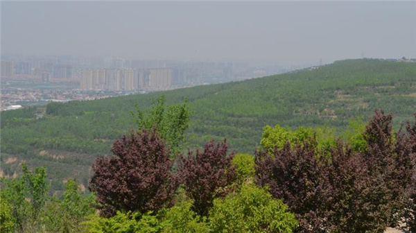 西安市高桥骨灰墓园生态艺术园区