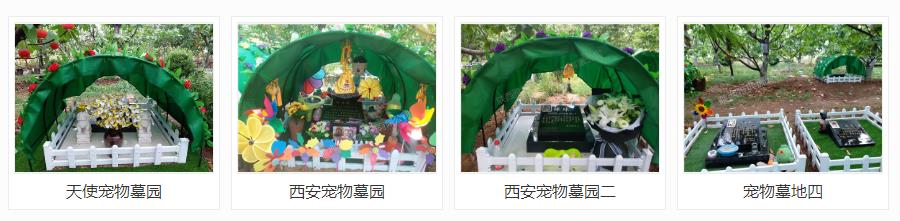 西安狗狗墓地多少钱