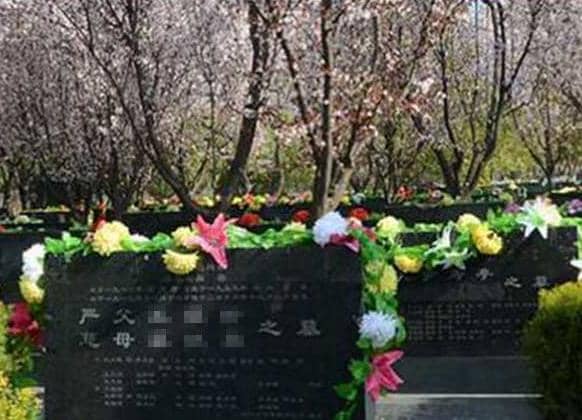 西安白鹿原墓地图片