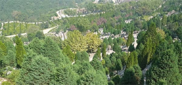 西安寿阳山公墓门向哪个方向啊