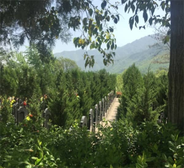 西安九龙山公墓照片|陕西九龙山陵园