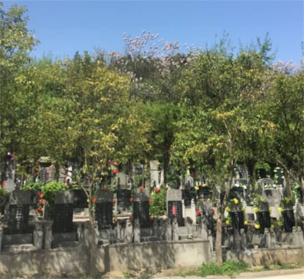 西安九龙山公墓照片|陕西九龙山陵园
