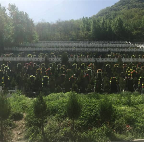 西安市九龙山公墓图片