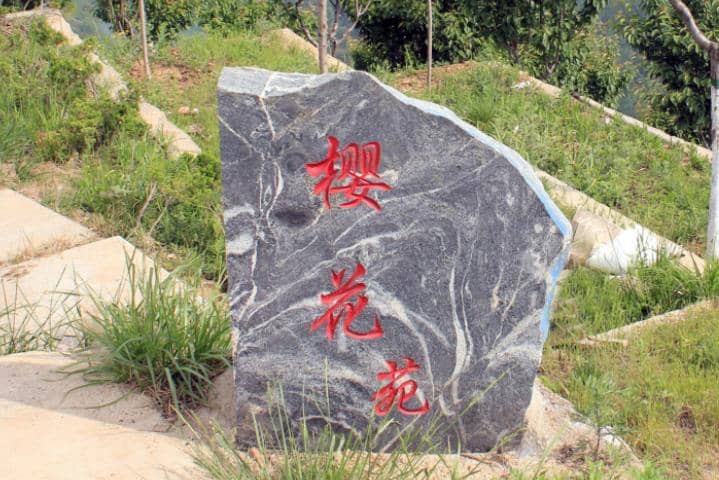 西安寿阳山公墓樱花苑区域