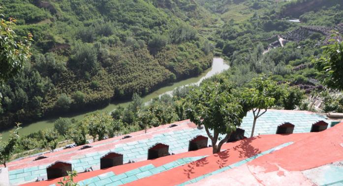 西安寿阳山墓园樱花苑开售