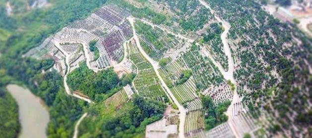 西安寿阳山公墓风水极佳 价格实惠