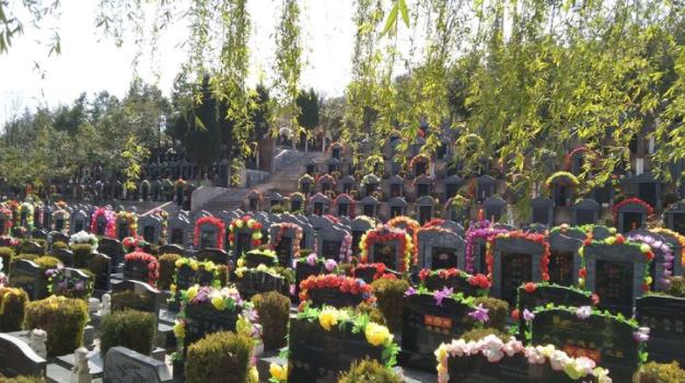 西安汉陵墓园温馨提示:文明祭祀 严禁焚烧