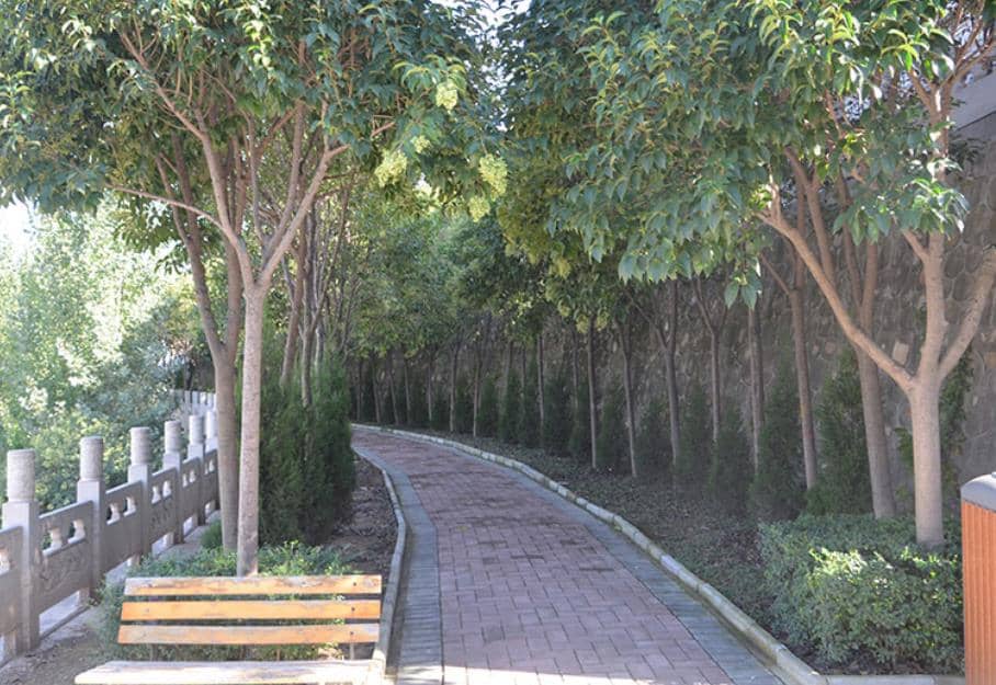 西安霸陵墓园陵园相册多图