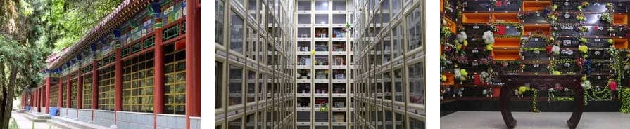 西安市南郊寝园管护中心：融权威与温情的城芯安心之选