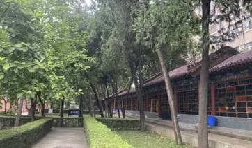 孝斤的尺寸标准与使用建议