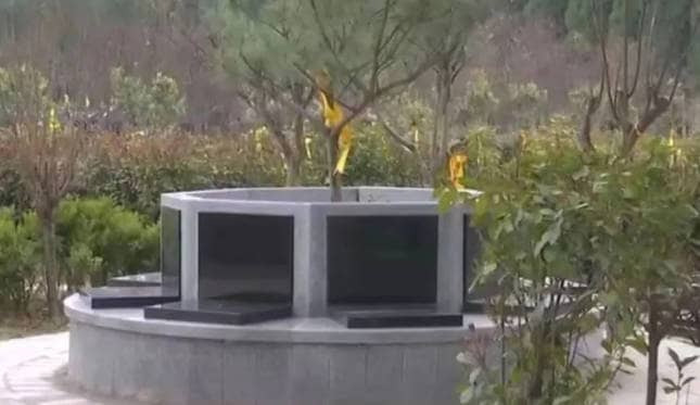 寒衣节情感传递：奉正塬公墓以文明共祭活动搭建亲情桥梁