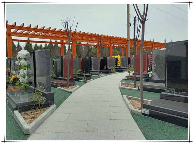 西安阎良汉皇树葬墓园学生扫墓教育基地