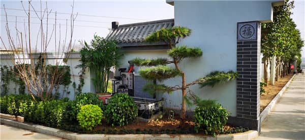 阎良汉皇树葬墓园的整体建筑风格和环境特点是什么?