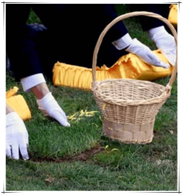 请问西安汉皇树葬墓园的墓型价格是多少