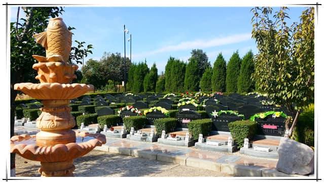阎良汉皇树葬墓园：汉唐文化与现代殡葬的共生之道