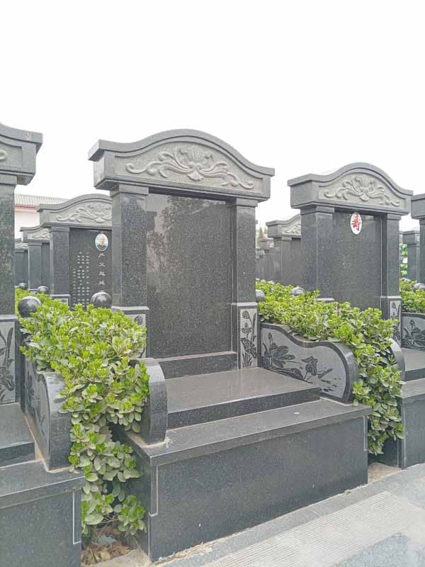 西安阎良汉皇树葬墓园的历史背景如何?为什么被誉为“昔日皇家陵园,今朝百姓福地”?
