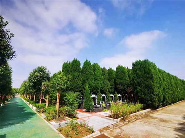 西安阎良汉皇树葬墓园中，哪些区域的墓位价格相对较高？