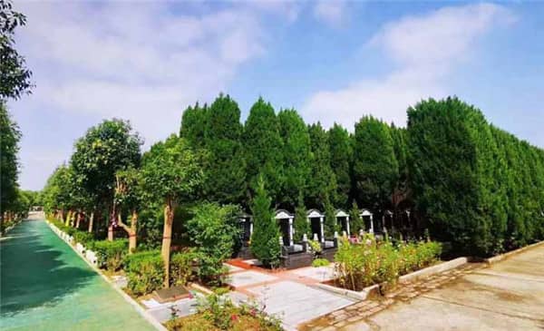 西安阎良汉皇树葬墓园所处的荆山塬风景区有哪些特色或亮点?
