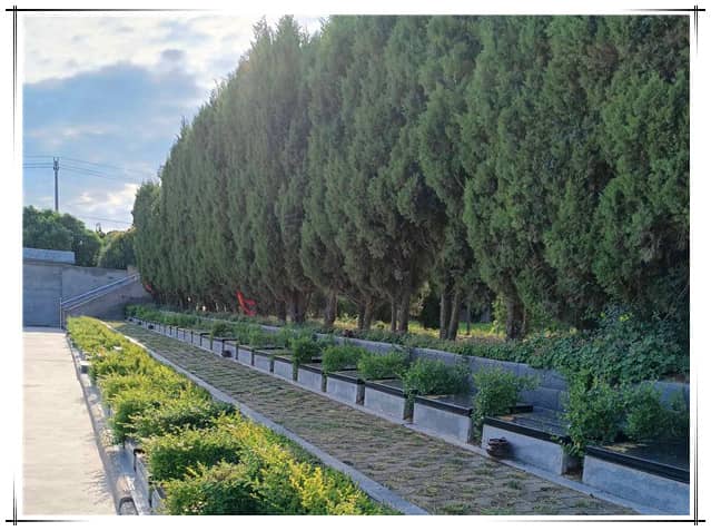 西安阎良汉皇树葬墓园采用的树葬方式有何特别之处？这种树葬方式如何实现“入土为安”的理念？