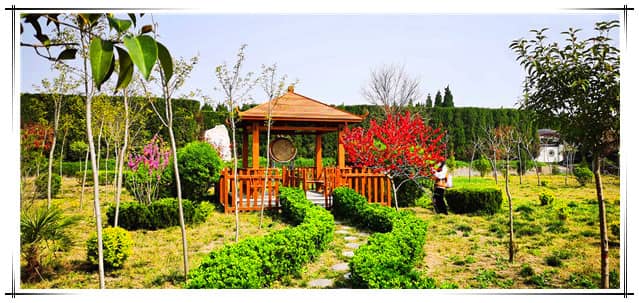 西安汉皇树葬墓园花坛葬绽放生命之花