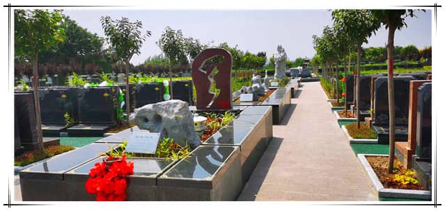 西安汉皇树葬墓地具体位置及周边环境