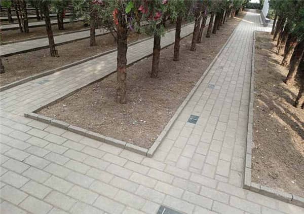 西安市阎良汉皇树葬墓园地址