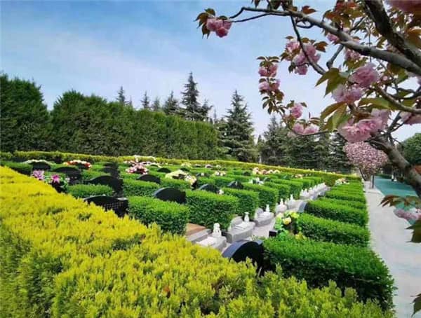 西安阎良汉皇树葬骨灰公墓在园区设计和建筑风格上有哪些独特之处?