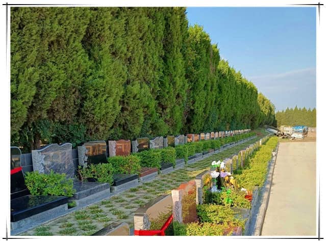 西安汉皇树葬墓园提供的葬式如何满足不同家属的需求？