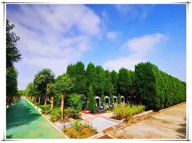 西安市阎良汉皇树葬墓园生态安葬服务全解析