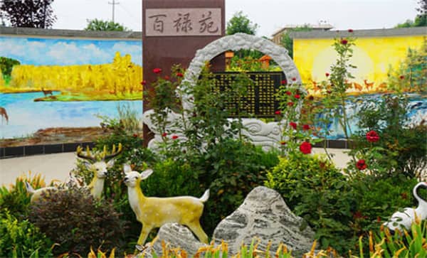 阎良汉皇树葬骨灰公墓提供节地生态葬服务吗?