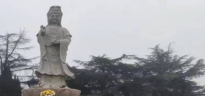 凤栖山南区墓园,墓园价格优惠快来选!