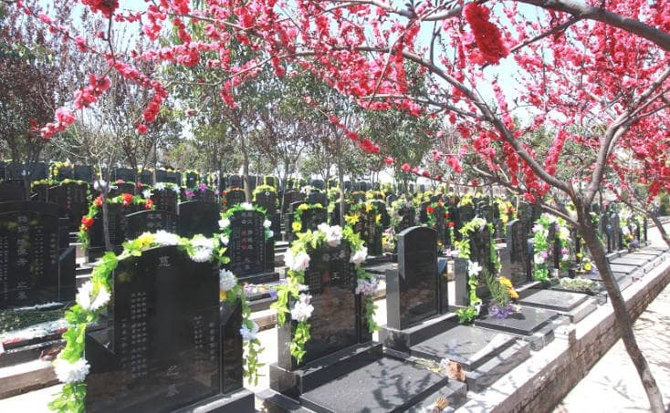 西安凤栖山墓园中有哪些立碑葬式是热销的,它们各自有什么特点?