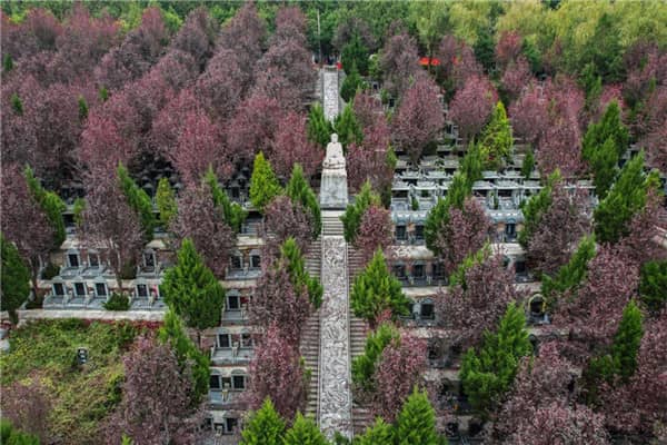 寿阳山墓园如何确保家属能够方便地参观和考察,以及墓园的经营性质和服务质量如何?