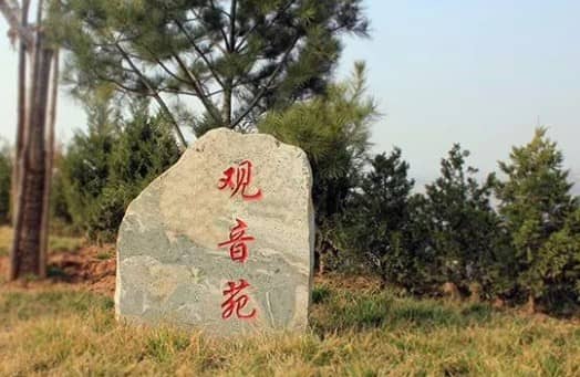 前往西安寿阳山公墓,乘客应该如何选择合适的公交线路,以确保出行的便捷和高效?