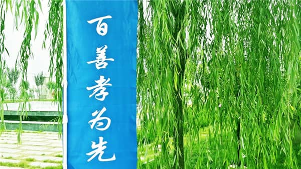 西安寿阳山墓园在重阳节期间如何帮助客户寄托对故人的哀思?