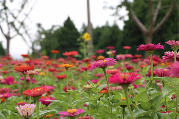 西安寿阳山墓园优缺点