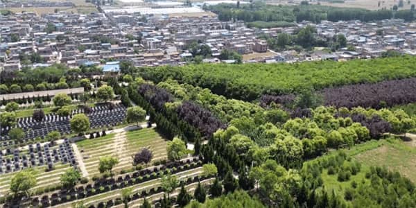 西安寿阳山墓园扫墓:尊重生命,缅怀逝者