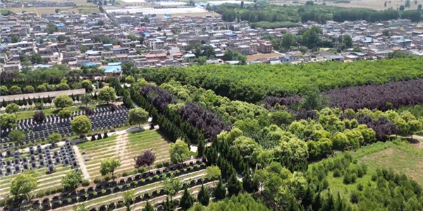 前往西安寿阳山公墓,除了公交车之外还有哪些便捷的交通方式?