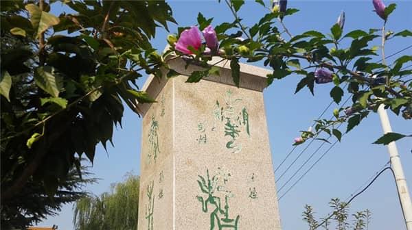西安寿阳山墓园的单穴立碑和双穴立碑有哪些特点?
