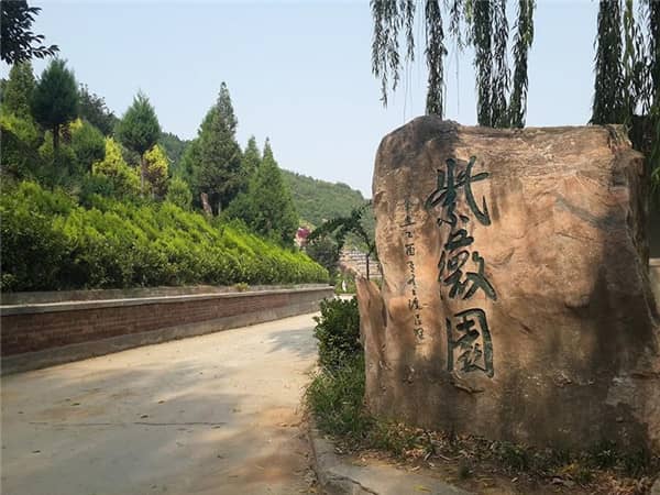 西安寿阳山墓园所在的砲里塬地区有哪些特色或文化背景?